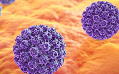 Virus HPV a co byste o něm měli