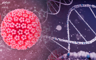 HPV a genetika – jakou roli hraje genetika v projevech infekce 