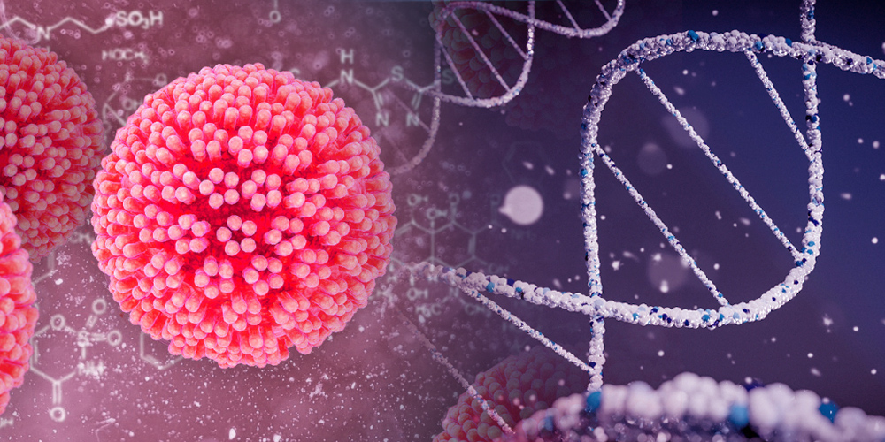 HPV a genetika – jakou roli hraje genetika v projevech infekce 
